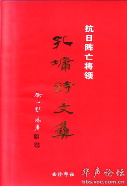 诗句,悲壮,将军