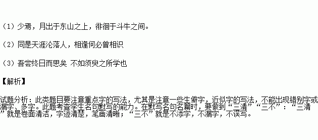 琵琶,诗句,描写