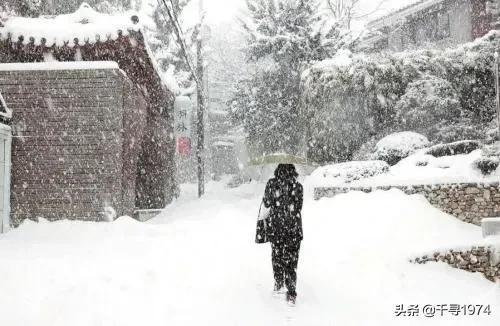 与雪有关的诗句,更雪有关的诗句,有关带雪的诗句