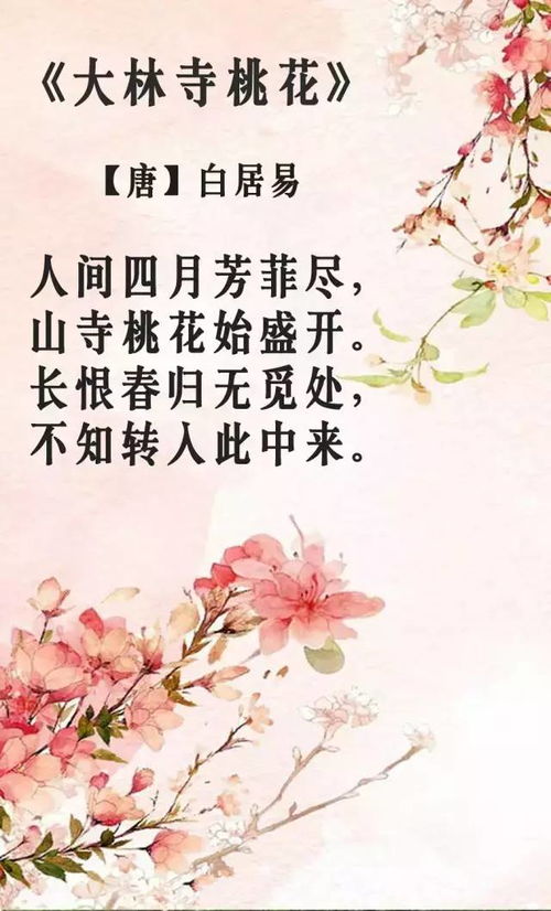 诗句,唯美