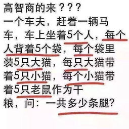 跟一条腿有关的诗句