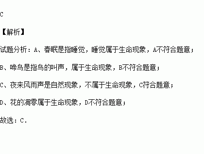 写出一句有关西域的诗句