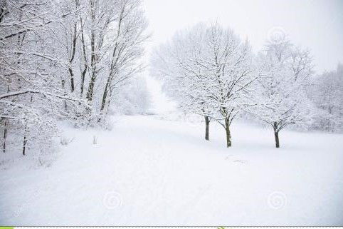 与雪有关的诗句及作者和出处