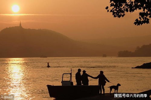 关于读书的脍炙人口的诗句,岳阳楼记脍炙人口的诗句,杜鹃的脍炙人口的诗句