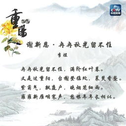 与有关的诗句