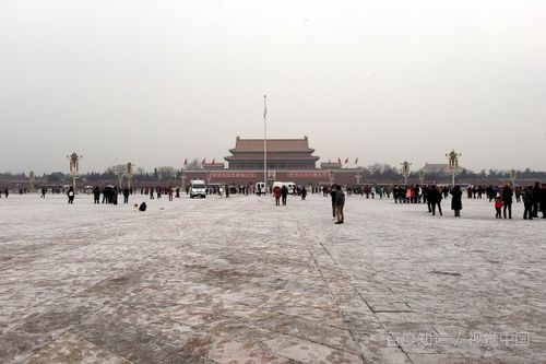 关于雪和友情的诗句,关于雪的友情的诗句近代,雪的诗句关于友情