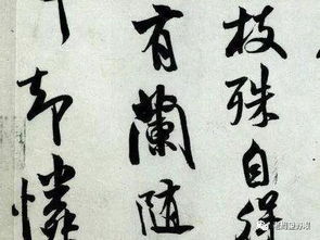 带有兰字的诗句,含有兰字的诗句,带有若兰字的诗句