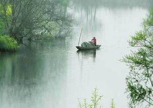 春雨,诗句