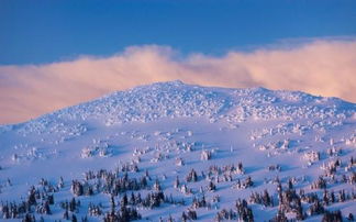 与长安雪景有关的诗句