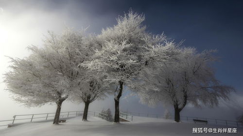 有关雪的诗句加意思