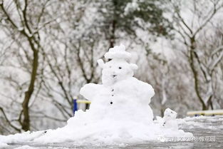 关于雪的忧伤诗句,月与雪有关的诗句,两句与雪有关诗句