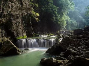 诗句,田园,山水