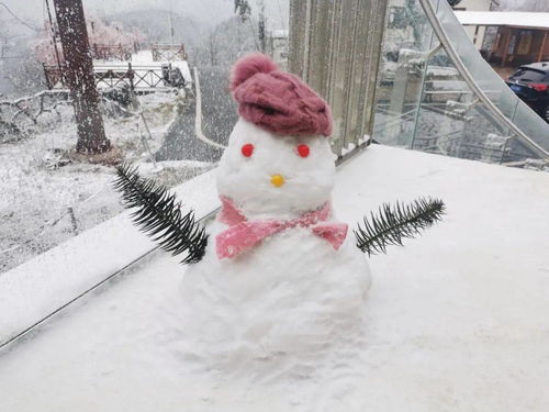 有关写冬天雪的诗句