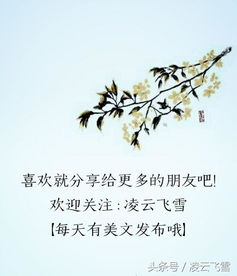 古诗,诗句,兰花