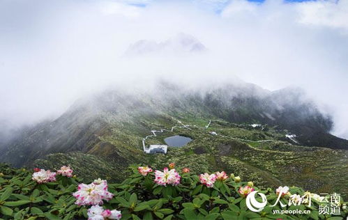 苍山,大理,诗句