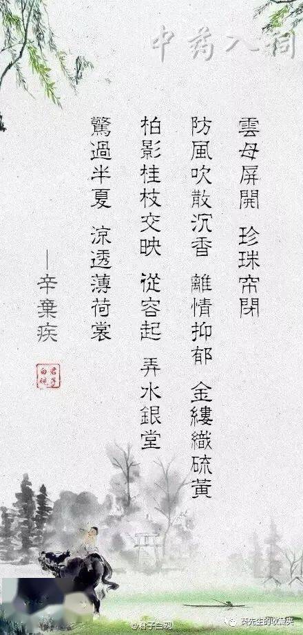 诗句,中药,美好