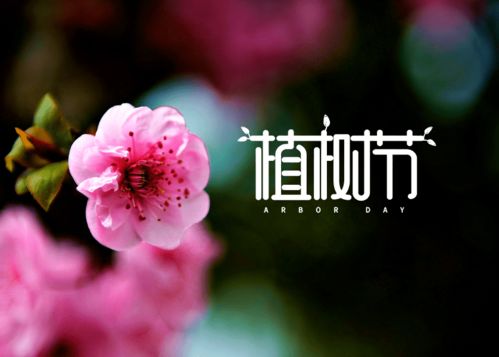 有关种花人的诗句