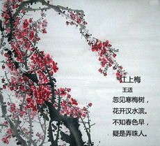 诗句,梅花