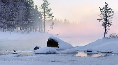 有关欣赏雪景的诗句