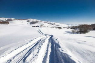 关于雪和思乡的诗句,用雪表达思乡的诗句,看雪思乡的诗句