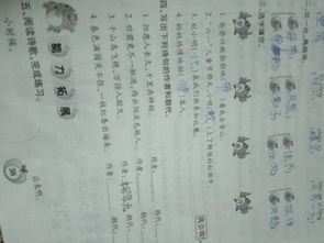 朝代,诗句,数字,作者