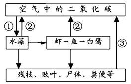 下列诗句与马有关的是,下列诗句与马有关的诗,下列诗句与马有关的是()A