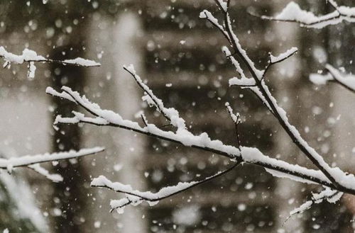 雪有关的诗句加