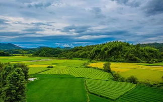 有关农村田园的诗句