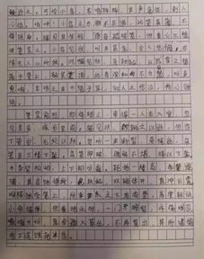 南京大屠杀小学生作文,南京小学生作文投稿怎么投,小学生作文引用诗句