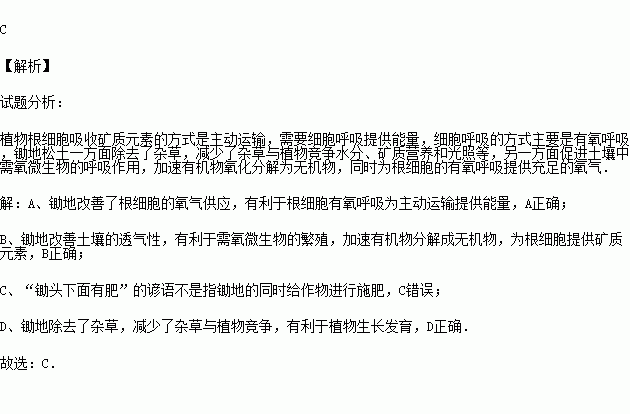 农业有关的诗句和谚语有哪些