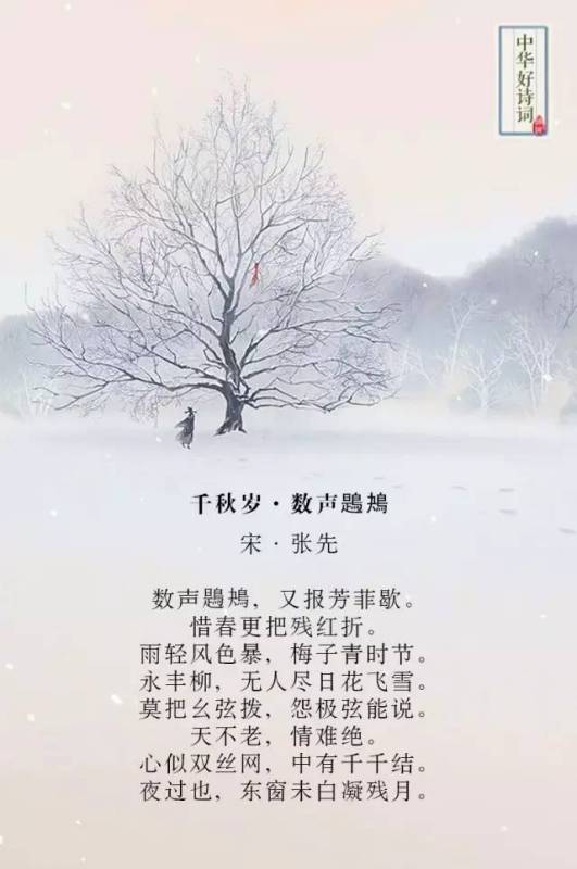 诗句,情深,爱人