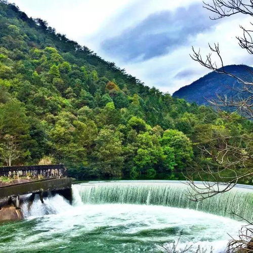 描写武夷山大红袍茶的诗句,武夷山赞美武夷山的诗句,关于武夷山的诗句(46条诗句)