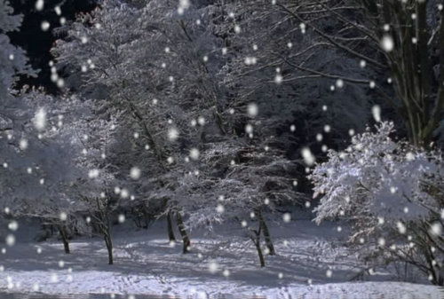 有关冬天的雪的诗句