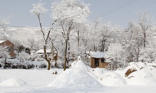 现代雪的诗句有哪些,现代诗人写雪的诗句,关于雪的现代诗句