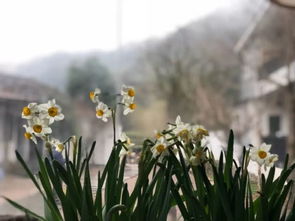 诗句,季节,写一写