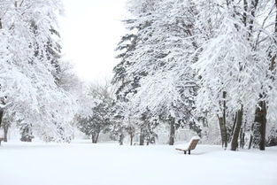 有关冬季和雪景的诗句