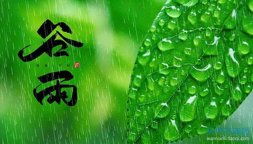 与有关谷雨的优美诗句