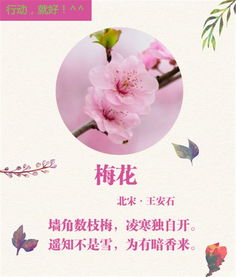 诗句,芳香,花草