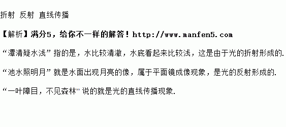 有关鸟的诗句,跟花有关的诗句,有关大雁的诗句