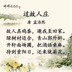 唐字头有关的诗句