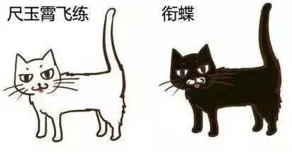 有关书法猫的诗句