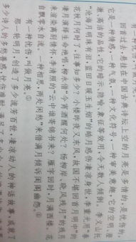 四级有关月亮的诗句的作文五百字