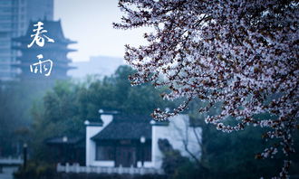 与春雨有关的俗语诗句