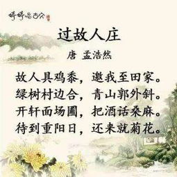 诗句,诗意