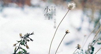 与下雪天有关的诗句