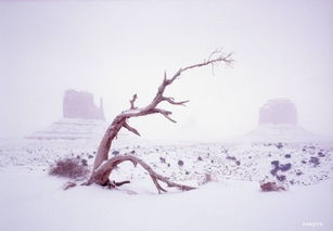 歌咏,冬雪,诗句