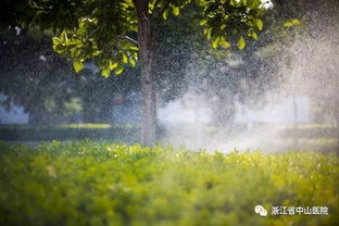 写秋雨的优美诗句,赞美秋雨的优美诗句,形容秋雨的句子优美的诗句