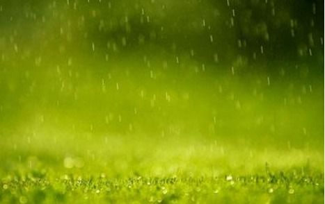 关于有关雨的诗句,雨字有关诗句,写出有关雨的诗句