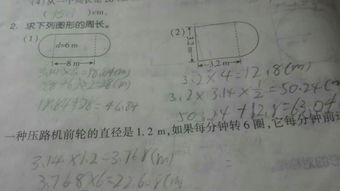 写两句与植物有关的诗句有哪些