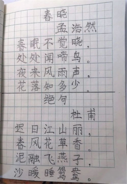 诗句,小学,大全